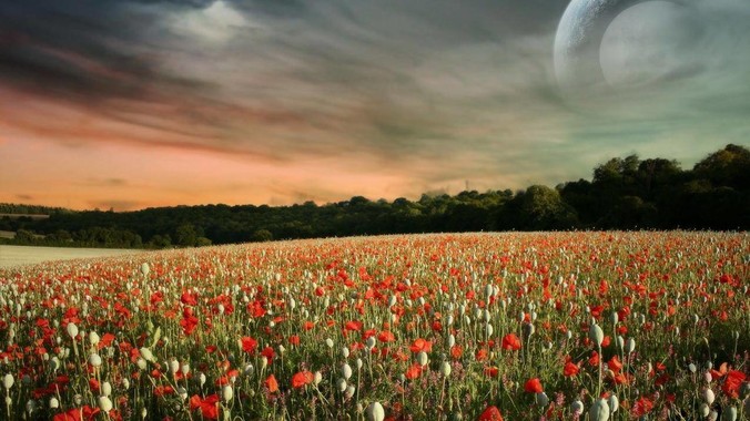 强大王朝过不了300年的大坎，是否适用于美国？ 